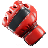 MMA Sports Betting Icon